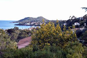 a016- Agay igesa